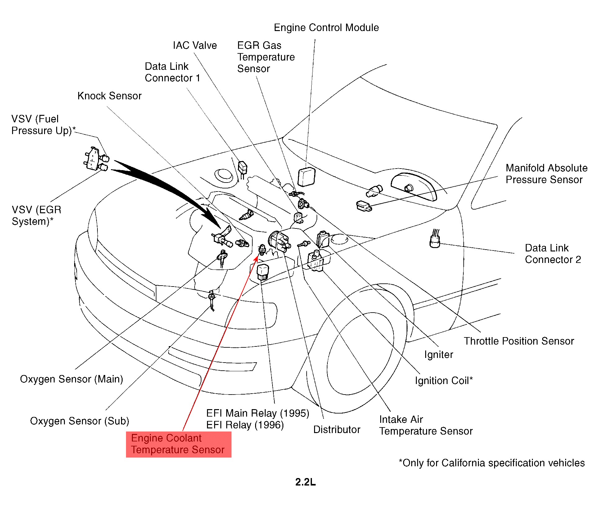 2009 Toyota Corolla Radio Wiring Diagram from detoxicrecenze.com