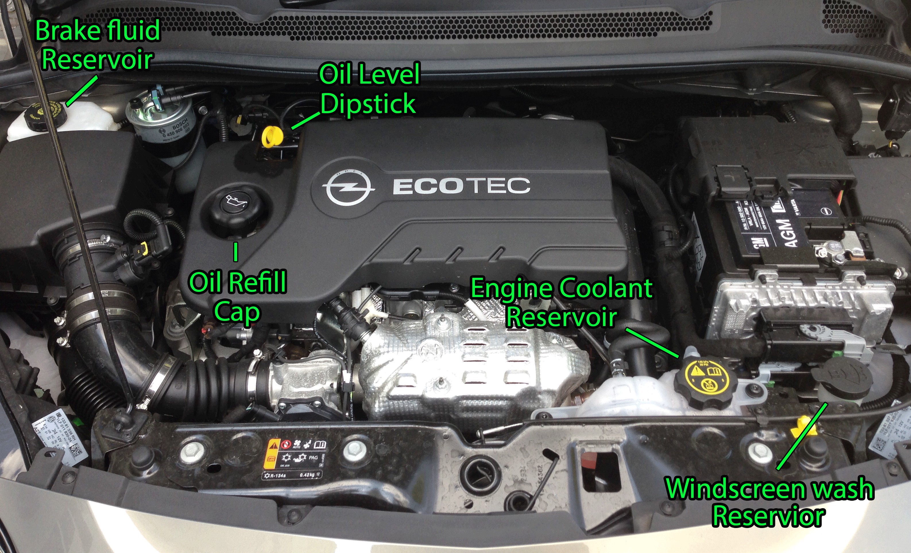 Under The Hood Car Parts Diagram