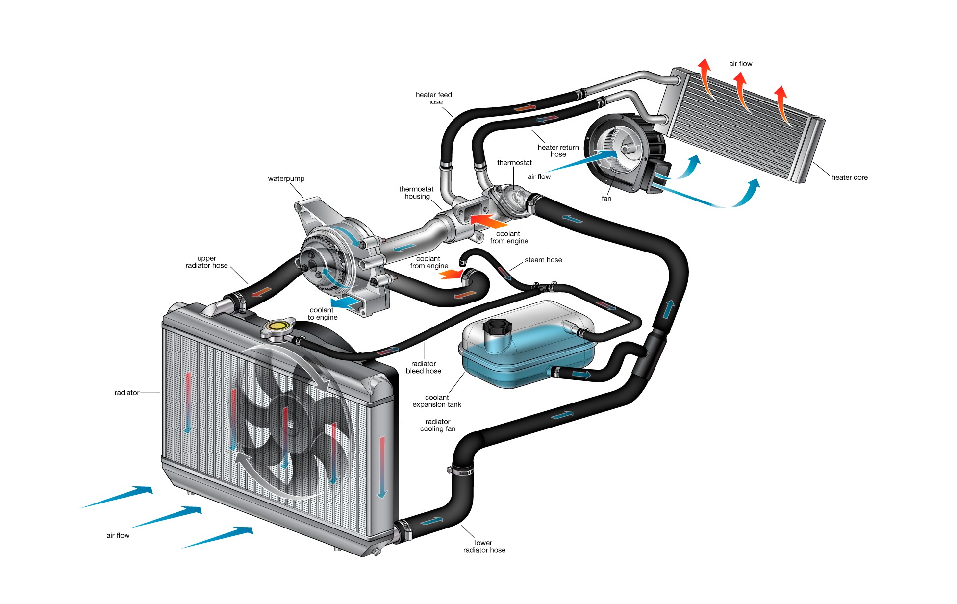 Coolant System Diagram | My Wiring DIagram