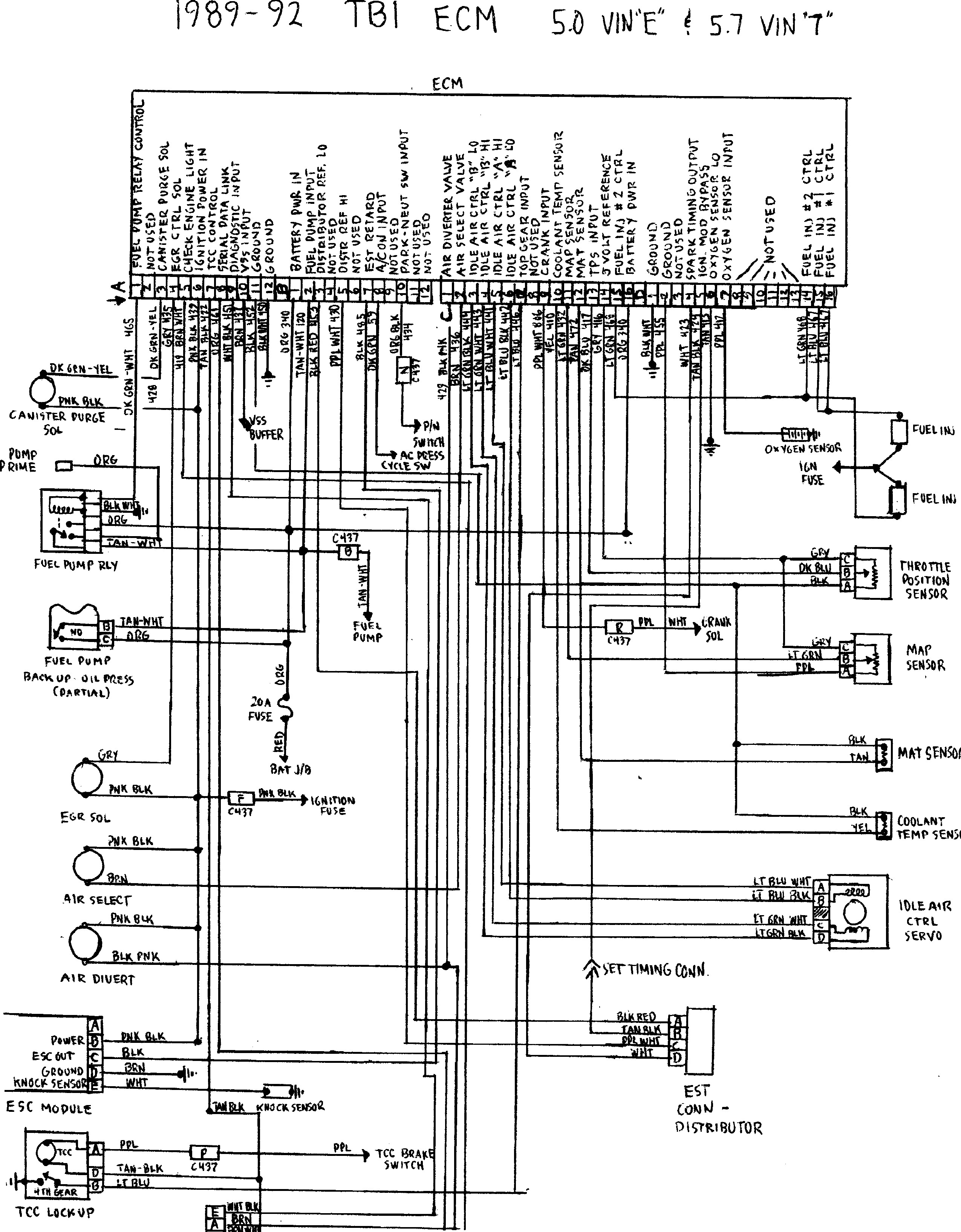 Chevy 454 Engine Diagram Gm Tbi Wiring Diagram Experts Wiring Diagram • Of Chevy 454 Engine Diagram