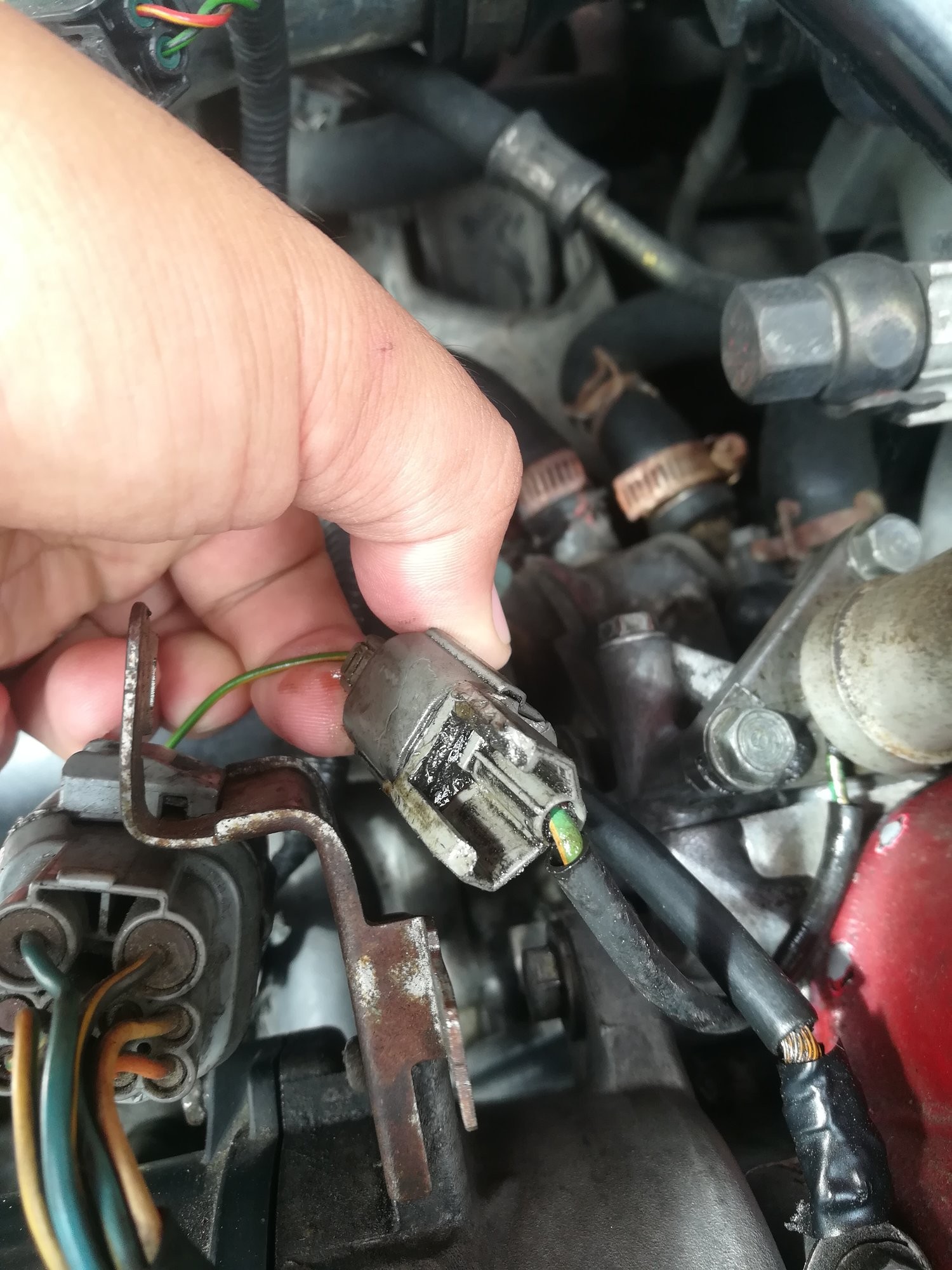 Vtec solenoid Diagram My Wiring DIagram