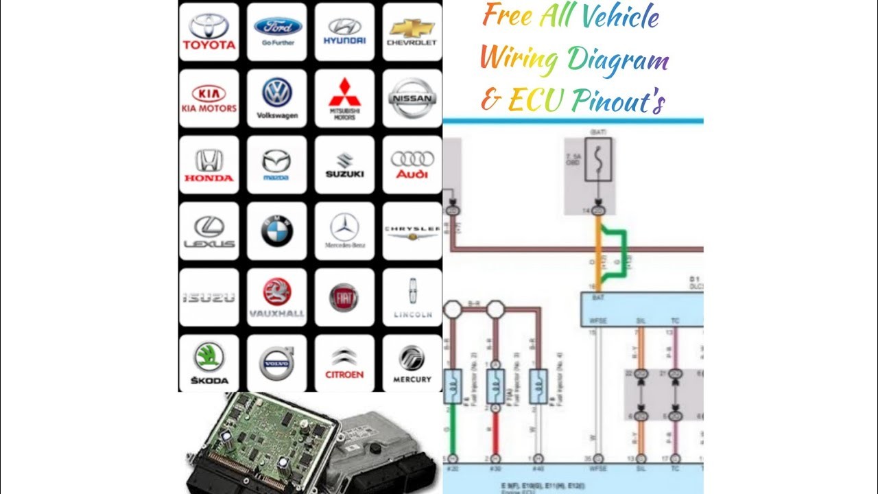Spitronic Ecu Std Wiing Diagrams Carmin Std Free All Vehicle Wiring Diagram Ecu Pinout & Data Guidelines by Mughal Auto Of Spitronic Ecu Std Wiing Diagrams