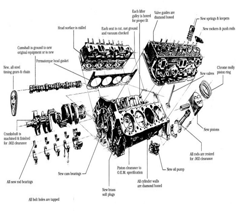 Chevy 350 Engine Diagram 35 Chevy 350 Engine Parts Diagram Wire Diagram source Information Of Chevy 350 Engine Diagram