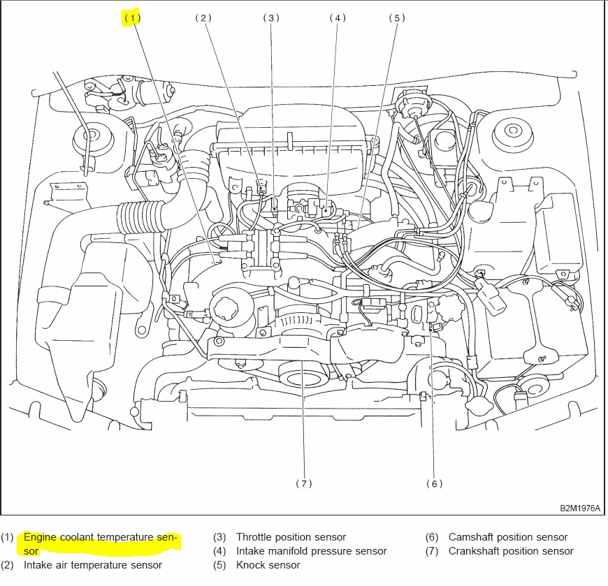 Olds 307 Engine Diagram Diagram Of 307 Oldsmobile Engine Sending Unit Laurenceparent1 S Blog