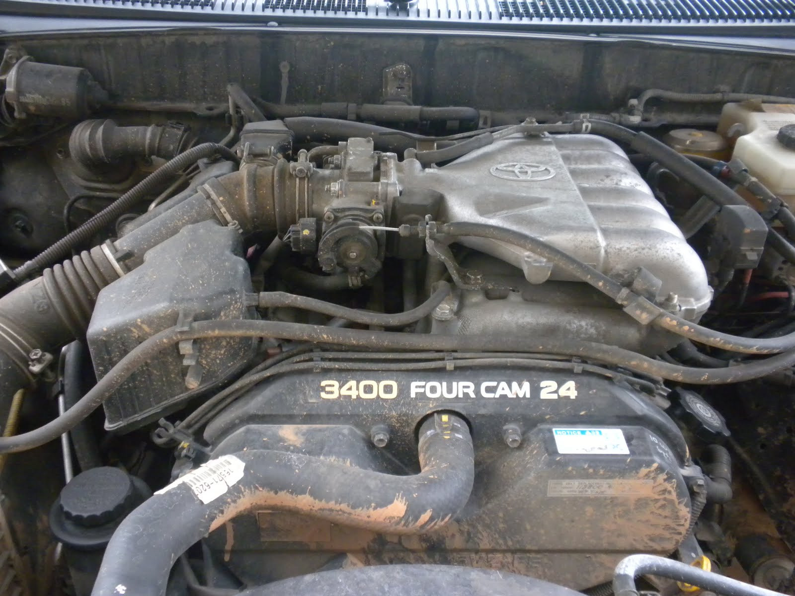 2000 toyota 4runner Engine Diagram My Car Battles: Spark Plug Wires On My 02' toyota 4runner 3.4 L V6.