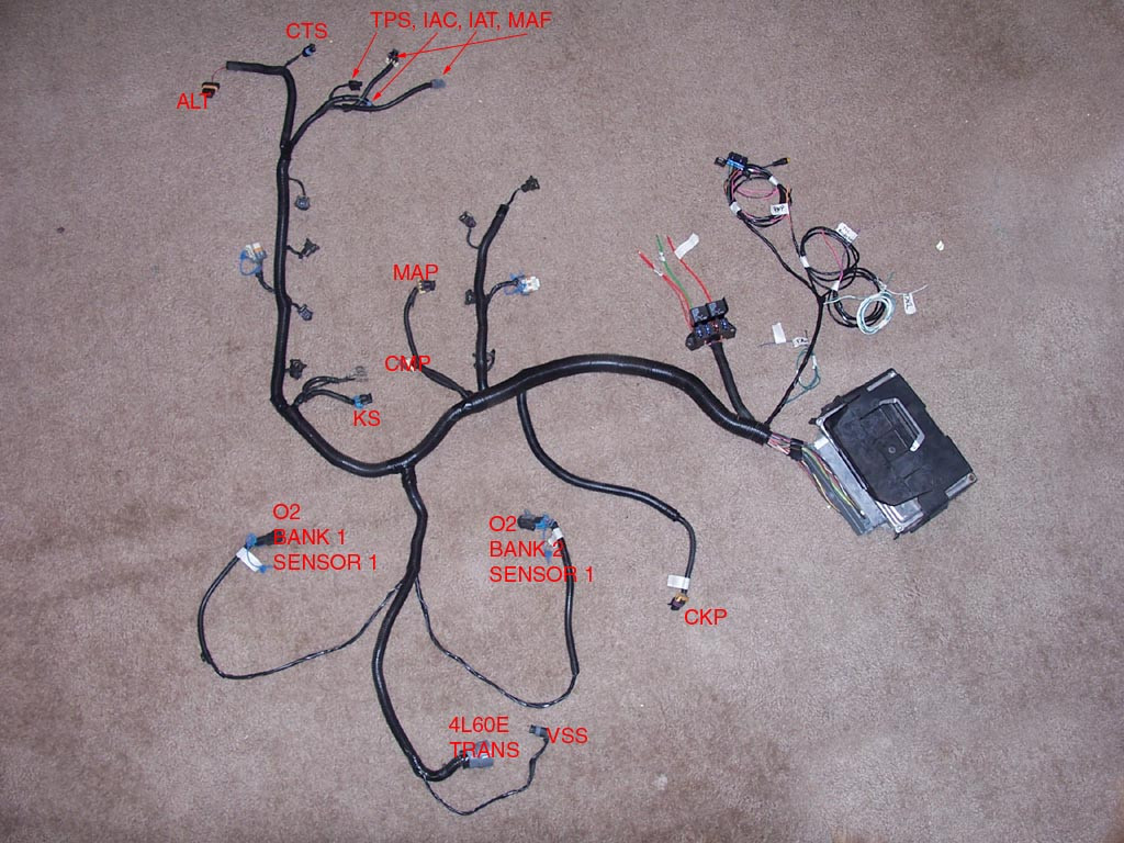 What Does the Dlc Wire Connect to On Gm Ls3 Wiring Harness Wiring Information for 1998 to 2002 Camaro & Firebird Ls1 Of What Does the Dlc Wire Connect to On Gm Ls3 Wiring Harness